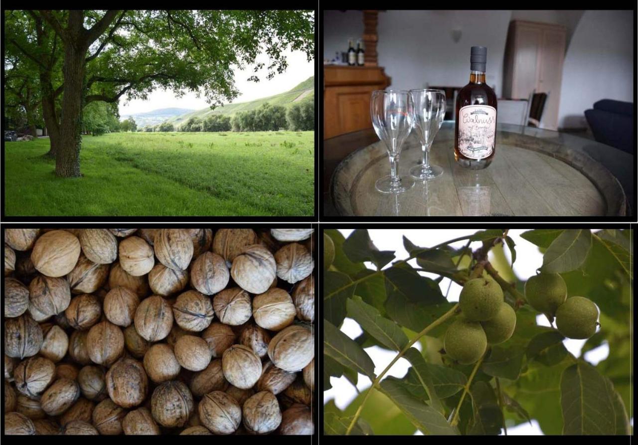The Wine Cellar In The Old Gemeinde House Brauneberg Exteriér fotografie